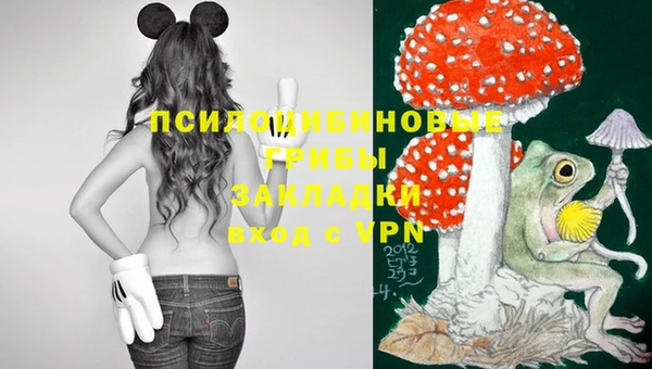 твердый Баксан