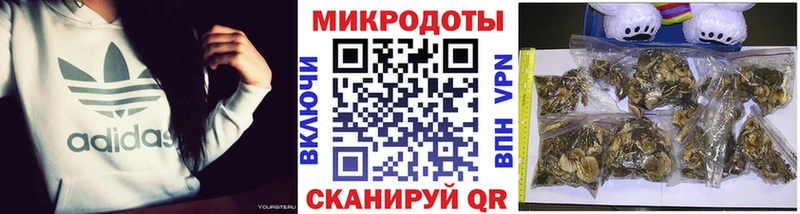 Галлюциногенные грибы мухоморы  купить наркоту  Сорочинск 